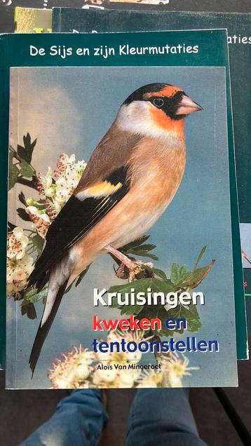 Kruisingen kweken en tentoonstellen beschikbaar voor biedingen