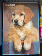 Puzzel 1000 stukjes pup golden retriever jumbo, Ophalen of Verzenden, Zo goed als nieuw