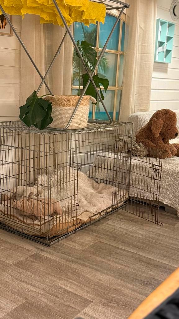 Grote maat hondenbench, Dieren en Toebehoren, Hondenbenches, Zo goed als nieuw, Ophalen of Verzenden