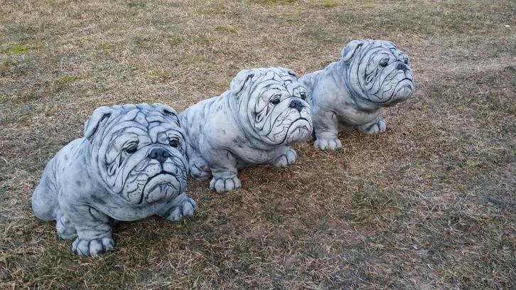 Prachtige Engelse Bulldog Tuinbeelden, Tuin en Terras, Tuinbeelden, Nieuw, Dierenbeeld, Steen, Ophalen