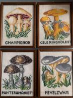 Vier borduurwerkjes met paddenstoelen, Ophalen of Verzenden, Gebruikt, Handborduren