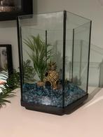 Hexagon aquarium Zeshoekig, Dieren en Toebehoren, Vissen | Aquaria en Toebehoren, Ophalen, Leeg aquarium