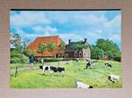 Mooi Friesland - kop-hals-romp boerderij, Ophalen of Verzenden, 1960 tot 1980, Ongelopen, Friesland