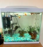 Aquarium super fish, Dieren en Toebehoren, Vissen | Aquaria en Toebehoren, Ophalen of Verzenden, Zo goed als nieuw