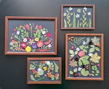 Schilderijtjes met droogbloemen 4 stuks beschikbaar voor biedingen