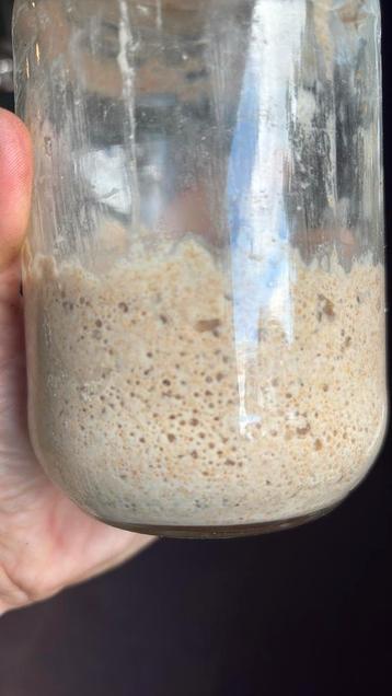 Desem starter 3,50, liefst afhalen beschikbaar voor biedingen