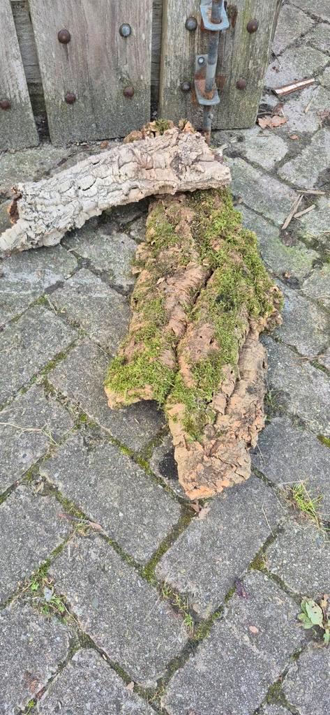 Kurk tubes en kurk takken, Dieren en Toebehoren, Reptielen en Amfibieën | Toebehoren, Nieuw, Overige typen, Ophalen