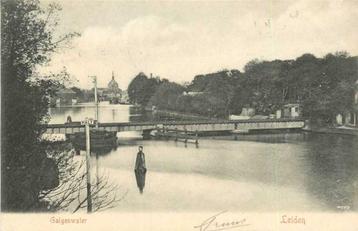(300-140-037) Leiden Galgenwater beschikbaar voor biedingen