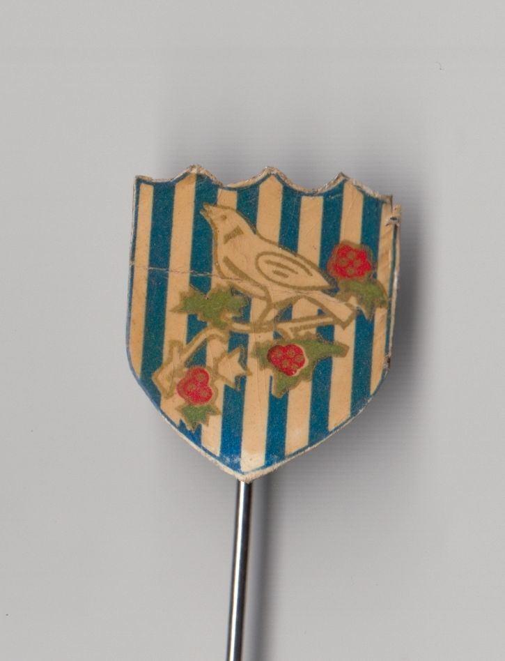 Voetbal West Bromwich Albion blik speldje, Verzamelen, Speldjes, Pins en Buttons, Gebruikt, Speldje of Pin, Overige onderwerpen