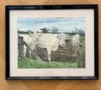 Aquarel Koeien in de wei, Ophalen of Verzenden