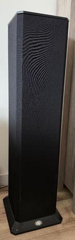 BNS SoundColumn 2 (2 stuks), Gebruikt, 60 tot 120 watt, Front, Rear of Stereo speakers, Ophalen