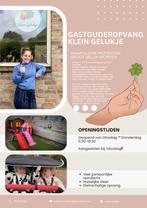 Gastouder aangeboden, Ophalen of Verzenden, Zo goed als nieuw