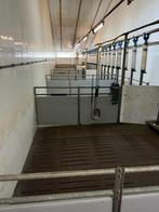 Opfok hokken [555], Boekhorst Trading, Info@boekhorsttrading.com, Singel 16, Horssen, Opfok