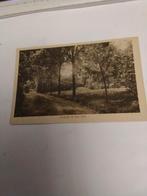 VENRAY. ST. SERVATIUS  GESTICHT  GEZICHT IN DE TUIN, Ophalen of Verzenden, Voor 1920