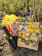 Bloembollen Mix Narcissen en Tulpen met schepje, Verzenden, Najaar, Volle zon, Bloembol