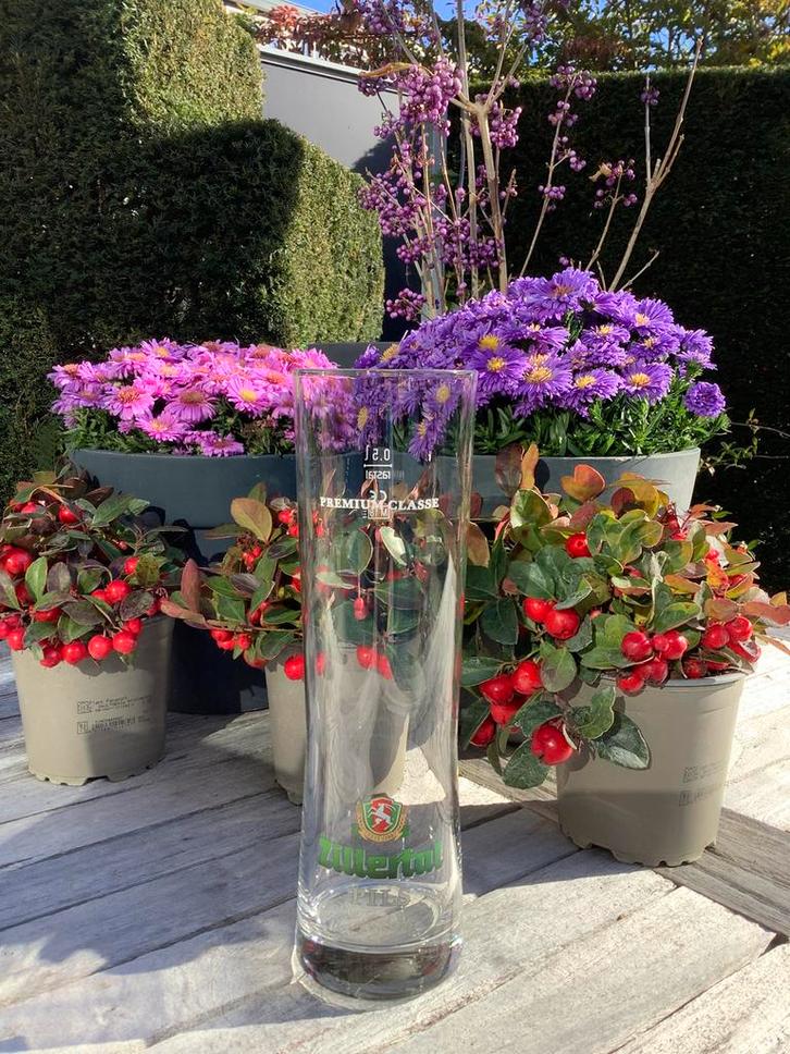 3 speciaalbier glazen - Zillertal Pils + Warsteiner + Tyrol, Verzamelen, Glas en Borrelglaasjes, Zo goed als nieuw, Bierglas, Ophalen
