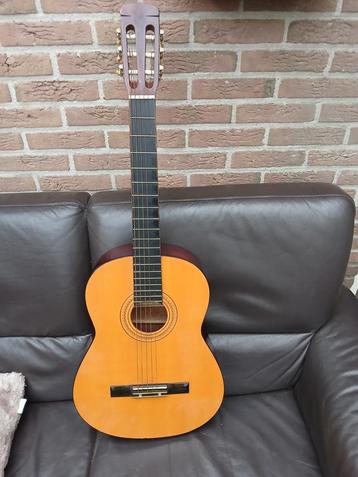 Gitaar - mist 1 snaar beschikbaar voor biedingen