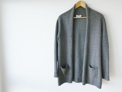 Peter Hahn vest antraciet kleur M, Kleding | Dames, Truien en Vesten, Zo goed als nieuw, Maat 38/40 (M), Overige kleuren, Ophalen of Verzenden