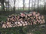 Haardhout, 3 kuub stamgedroogd en 1 kuub vers hout, Tuin en Terras, 3 tot 6 m³, Ophalen, Essenhout, Stammen