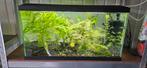 Ciano 60 aquarium, Dieren en Toebehoren, Ophalen of Verzenden, Zo goed als nieuw, Leeg aquarium