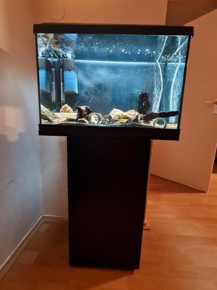Aquarium Juwel Primo 60 met meubel, Dieren en Toebehoren, Vissen | Aquaria en Toebehoren, Leeg aquarium, Ophalen