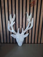 Leuke Hanger - Gewei voor aan de Muur, Ophalen, Zo goed als nieuw