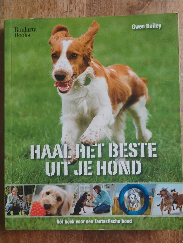 Haal het Beste uit je Hond - Gwen Bailey, Boeken, Dieren en Huisdieren, Zo goed als nieuw, Honden, Ophalen of Verzenden