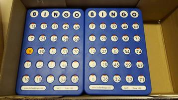 100 stuks Bingo Schuifplankjes beschikbaar voor biedingen