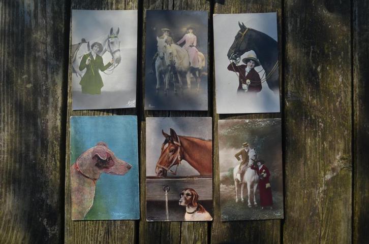 11 Ansichten vnl. paarden begin 20e eeuw., Verzamelen, Ansichtkaarten | Themakaarten, Voor 1920, Overige thema's, Ophalen of Verzenden