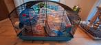 Hamsterkooi 60x40, Kooi, Minder dan 75 cm, Zo goed als nieuw, Ophalen