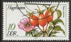 DDR 1978 2287 Hondsroos, Gest, Ophalen of Verzenden, DDR, Gestempeld