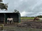Plekje aangeboden op prive weide