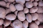 Nieuwe bildstar aardappels, Ophalen of Verzenden