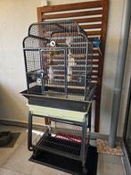Te koop Papegaaien/parkieten kooi met 2 Agapornissen, Ophalen, Zo goed als nieuw, Metaal, Vogelkooi