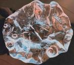 Jolanda Prinsen kokkelschaal., Ophalen of Verzenden