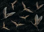 Golden Cranes vlies fotobehang - Kraanvogels - 375 x 270 cm, Verzenden, Minder dan 10 m², Zwart