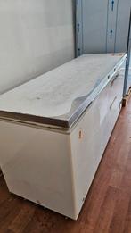 Groote vriezer voor horeca, Ophalen of Verzenden, Zo goed als nieuw, Vrijstaand, 160 cm of meer