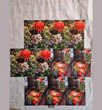 Ansichtkaarten Anneke Bleeker set 2, Ophalen of Verzenden, 1980 tot heden, Natuur