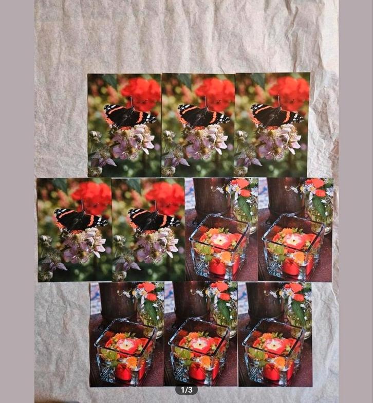 Ansichtkaarten Anneke Bleeker set 2, Verzamelen, Ansichtkaarten | Themakaarten, 1980 tot heden, Natuur, Ophalen of Verzenden