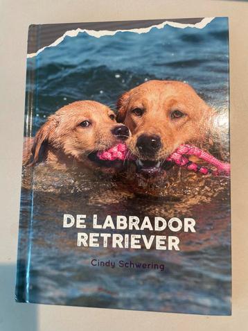 Cindy Schwering - De Labrador Retriever beschikbaar voor biedingen