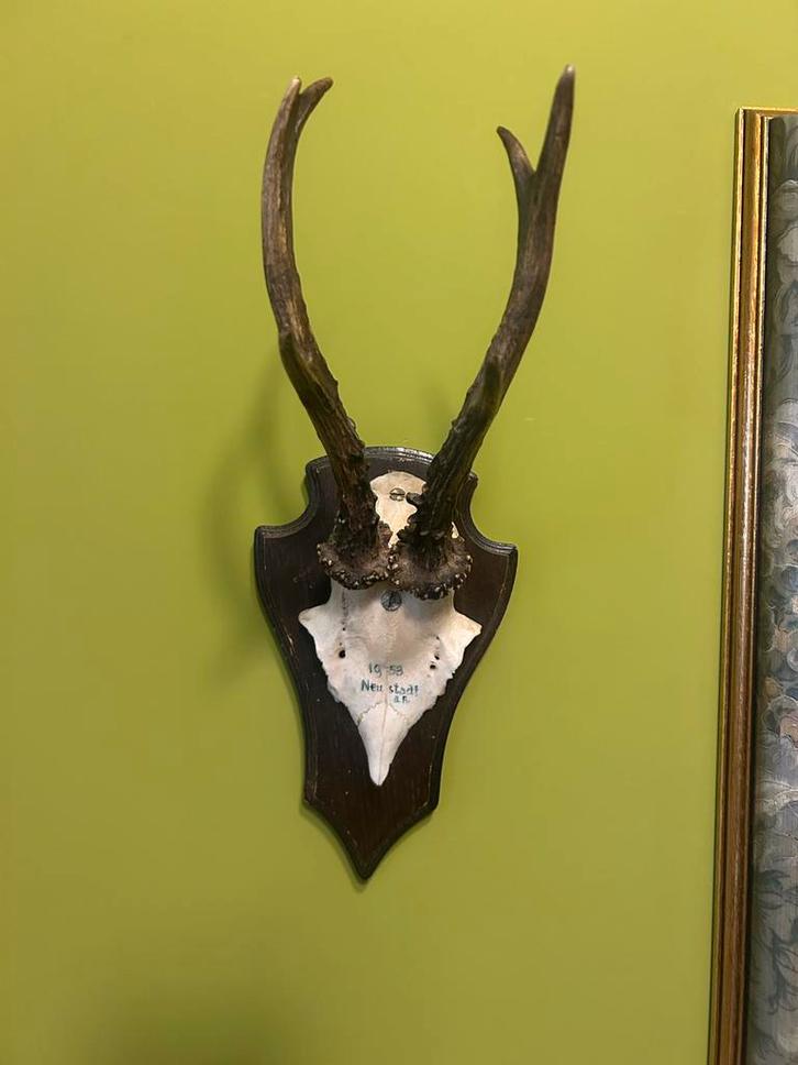 Reeëngewei op schild - 1953 Neustadt, Huis en Inrichting, Woonaccessoires | Wanddecoraties, Gebruikt, Ophalen of Verzenden