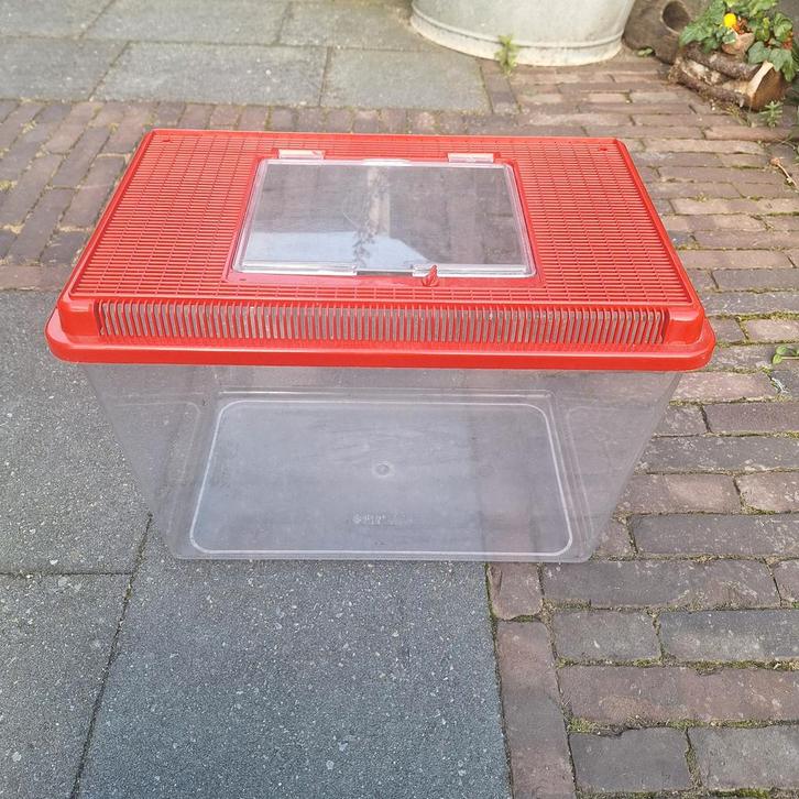Terrarium 41 x 26 x 30cm, Dieren en Toebehoren, Overige Dieren-accessoires, Gebruikt, Ophalen