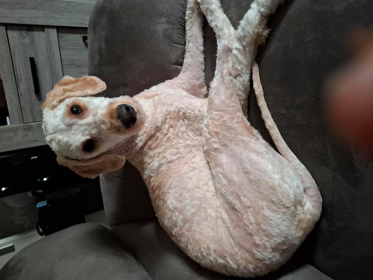 Labradoodle, Verzamelen, Dierenverzamelingen, Zo goed als nieuw, Beeldje of Figuurtje, Ophalen of Verzenden