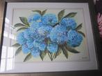 COR LIEVE, 2 Mooie Aquarell. HORTENSIA'S /PAPEGAAI, Ophalen, Minder dan 50 cm, Gebruikt, Oorspronkelijke maker
