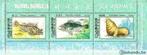 Noord-Korea 1979 - Stampworld 1979-1981 - Zeedieren(PF), Postzegels en Munten, Postzegels | Azië, Zuidoost-Azië, Ophalen, Postfris