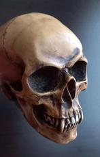 Fantasiefiguur schedel - vampierenschedel - Markus Mayer, Antiek en Kunst, Ophalen of Verzenden