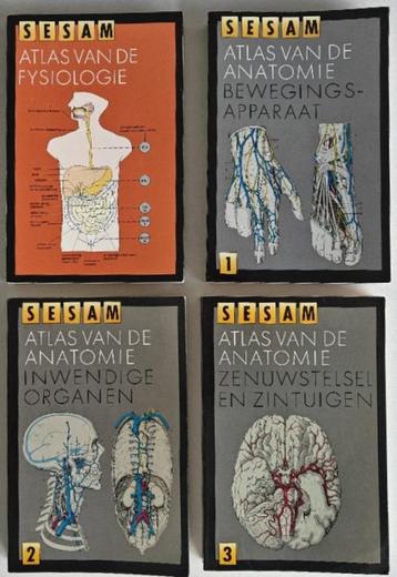 Sesam Atlas van de Fysiologie + 3x Atlas van de Anatomie. beschikbaar voor biedingen
