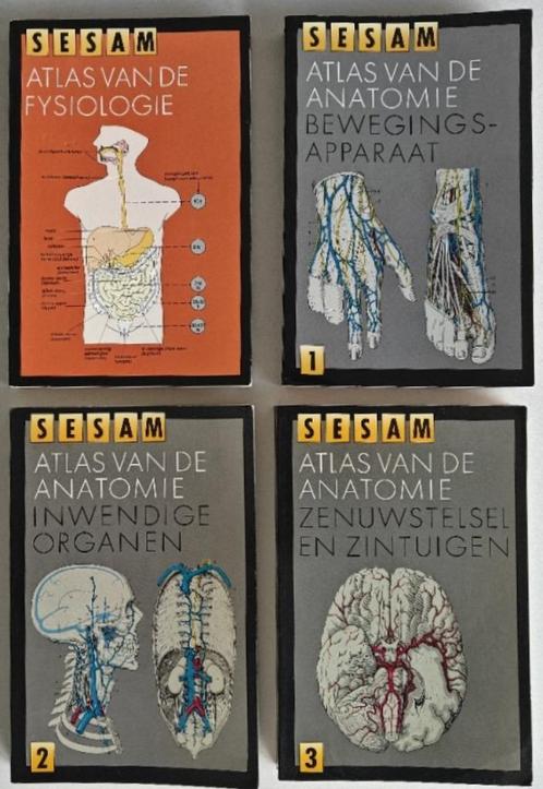 Sesam Atlas van de Fysiologie + 3x Atlas van de Anatomie., Boeken, Wetenschap, Zo goed als nieuw, Natuurwetenschap, Ophalen of Verzenden