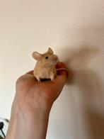 Gecastreerde man kleurmuis ter adoptie, Dieren en Toebehoren, Knaagdieren, Juni, Mannelijk, Muis