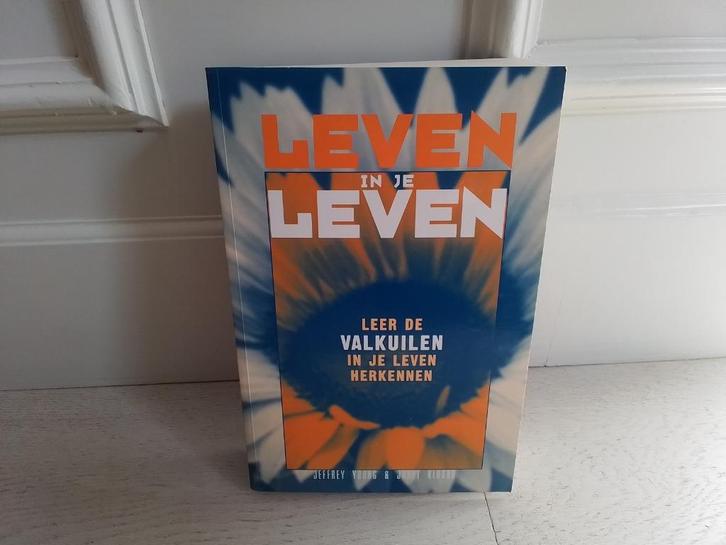 Jeffrey Young & Janet Klosko : Leven in je leven, Boeken, Esoterie en Spiritualiteit, Gelezen, Ophalen of Verzenden
